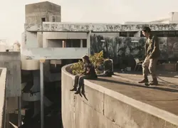 Add 18 clips