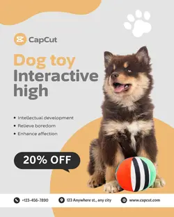 Pet Dog toy Event promotion Business
