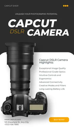 Electronic Camera Product Display