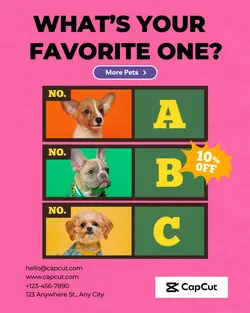 Pets Dogs Display Collage Style