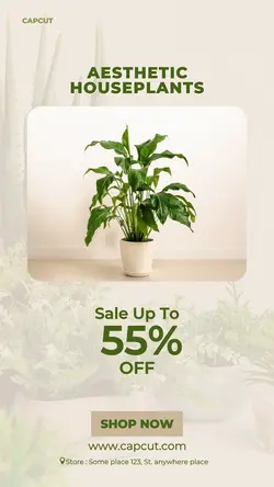 aesthetic houseplants sale instagram story