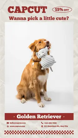 Pet Dog Promotion Collage Style