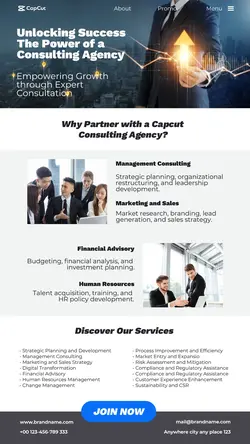 Business Consultant Agency Instagram Story