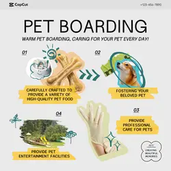 Services Pet care Display Minimalist