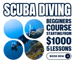 Other Scuba Diving Promotion Facebook Post
