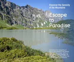 Travel industry General