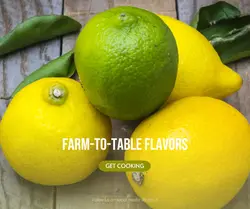 Foods & Beverage Effect Display