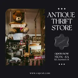 Antique Thrift Store Instagram Post