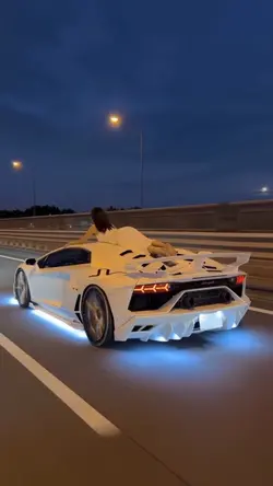 17 clip or photo car