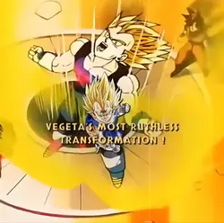 evil vegeta
