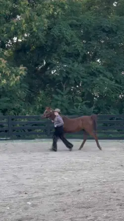 First halter show!