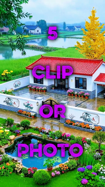 5 clip or photo 