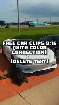 free car clips