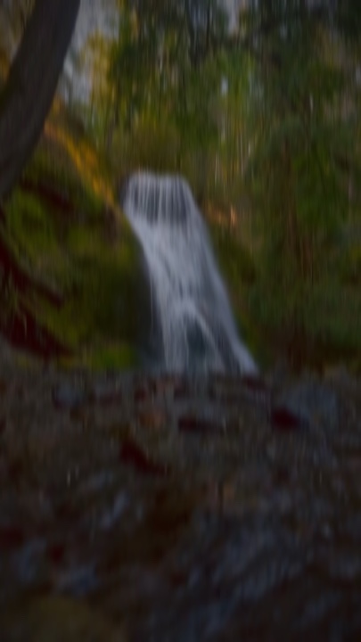 2clip or photo 