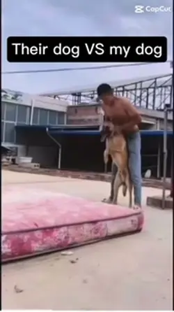 My dog