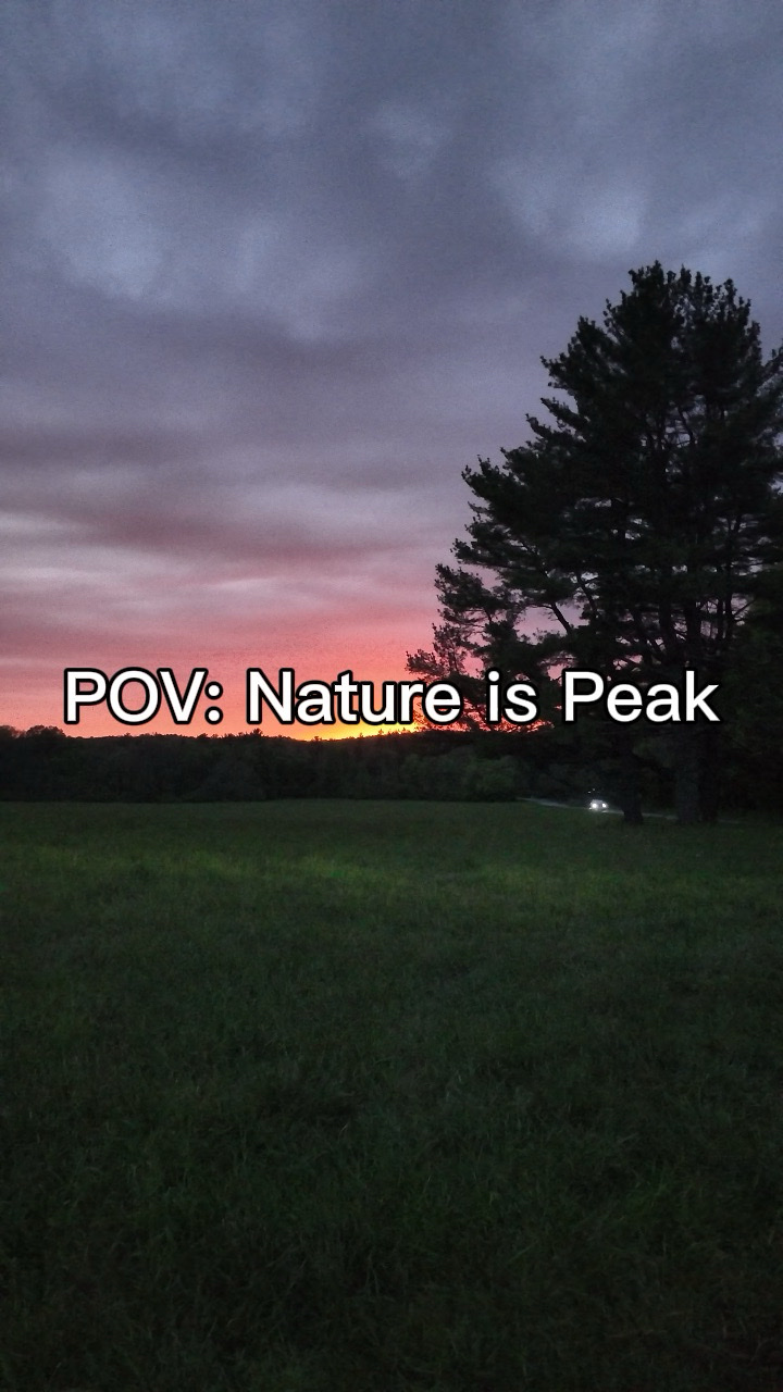POV: A natureza é o pico
