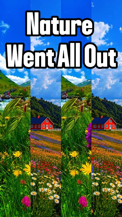 8 Clips oder Fotos 
