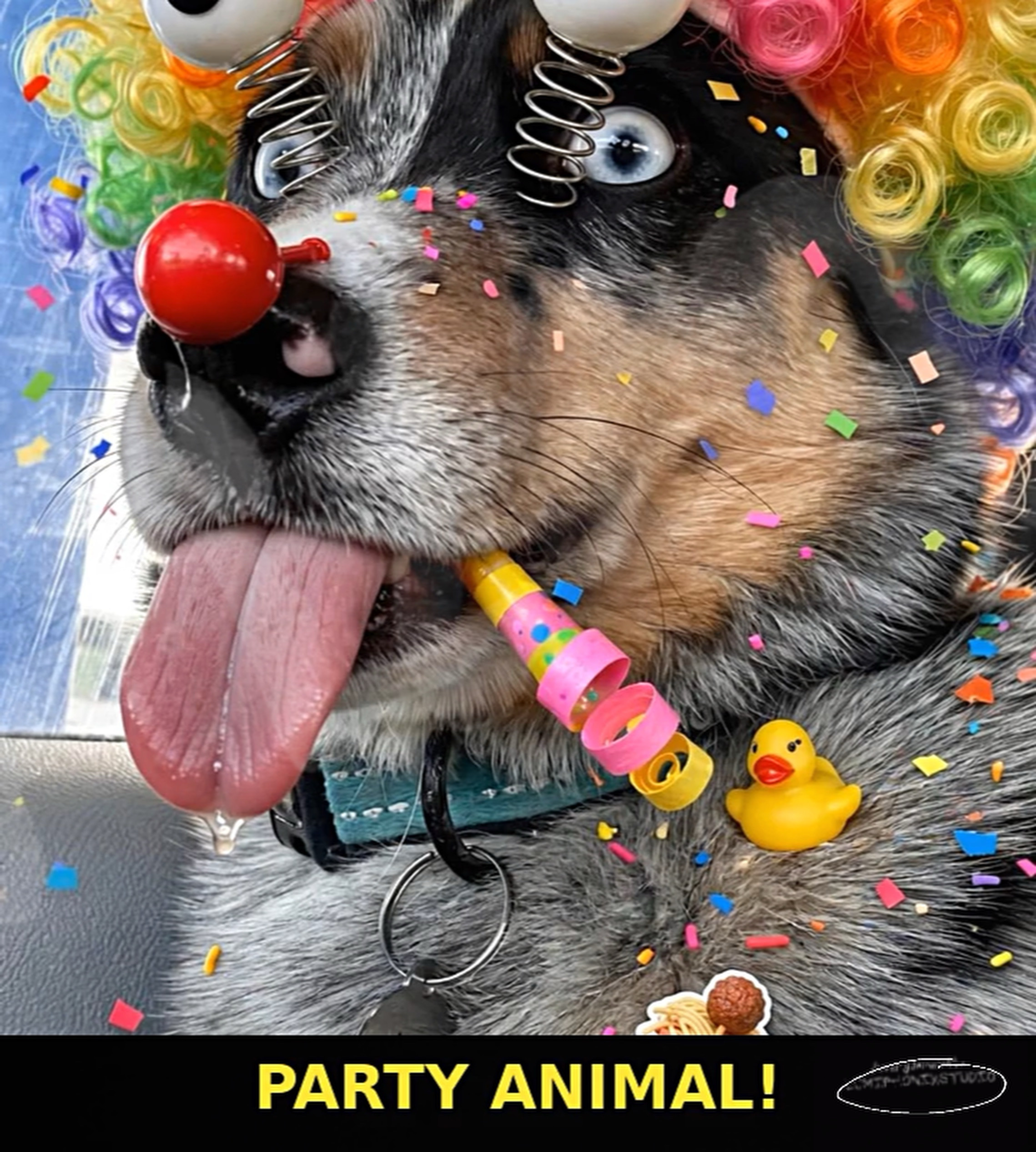 Modelo de aniversário