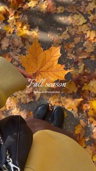 Fall season 