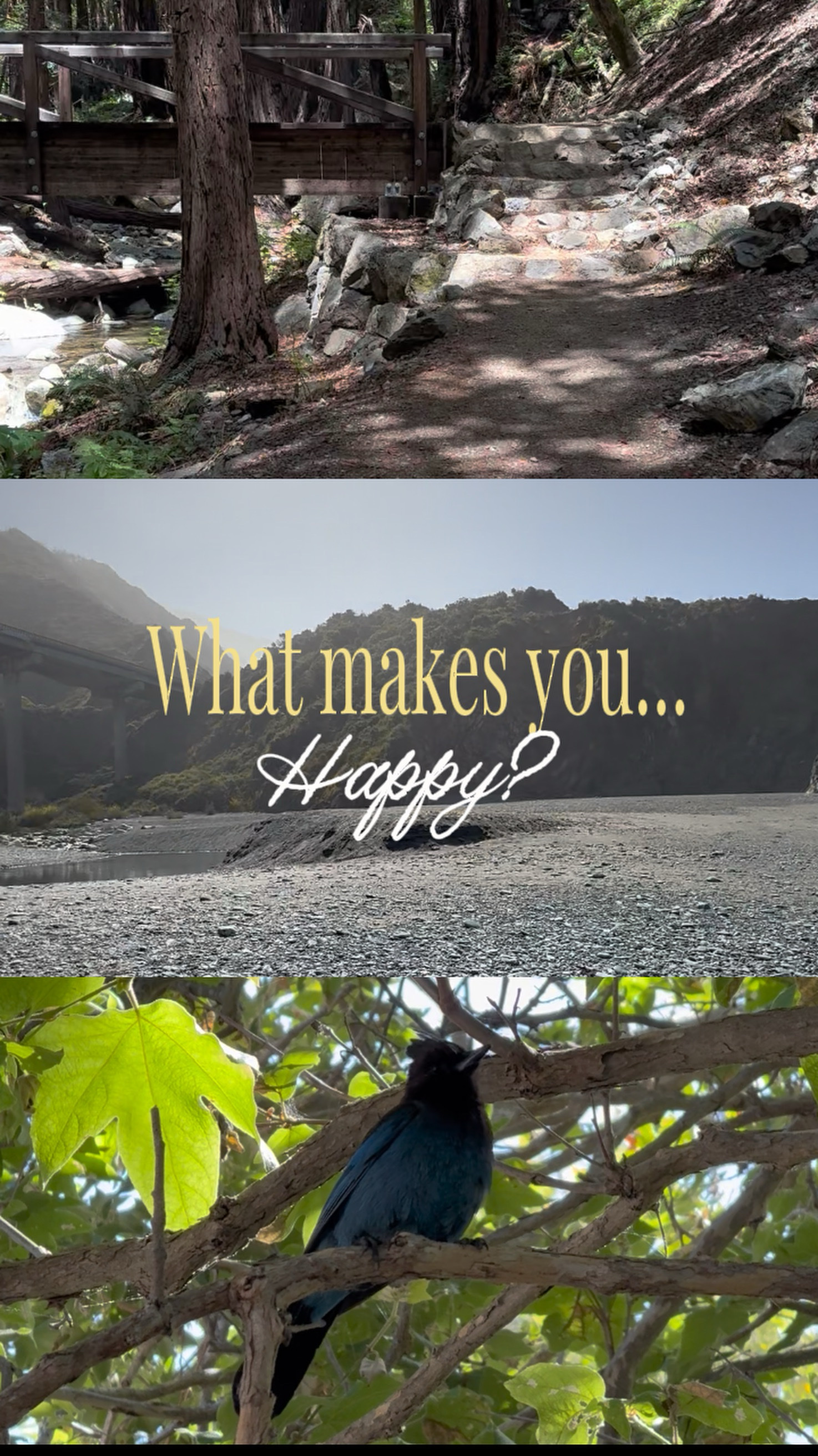 What makes you happy