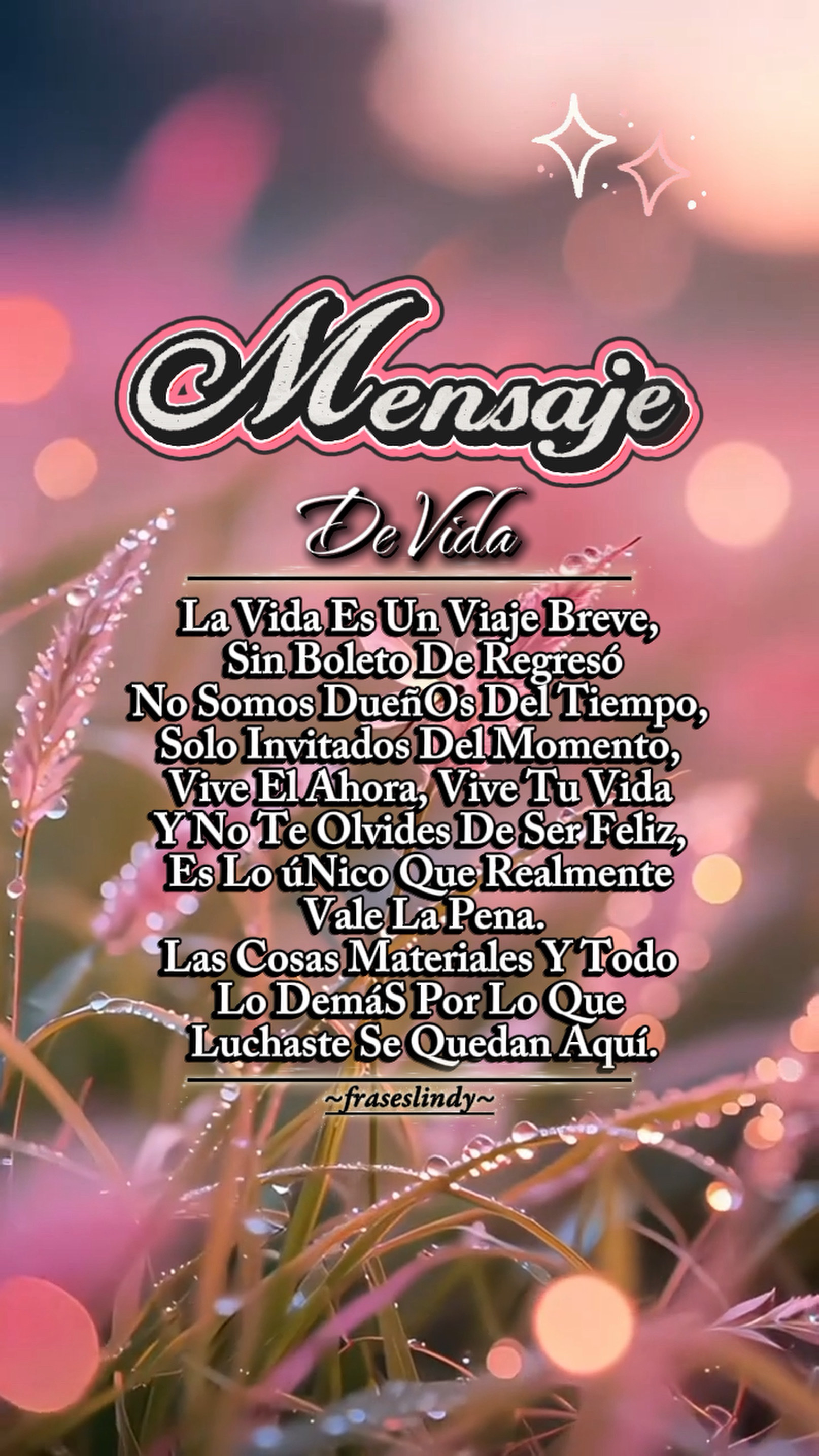 Mensaje de vida