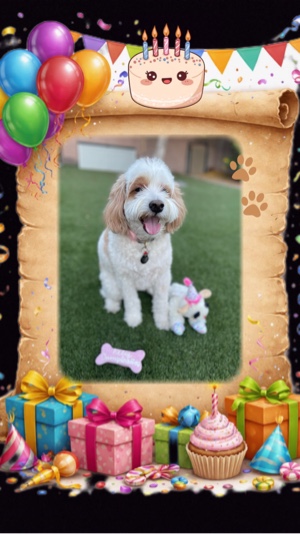 Pet Birthday 