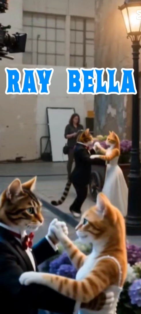 KUCING CINTA KEHIDUPAN
