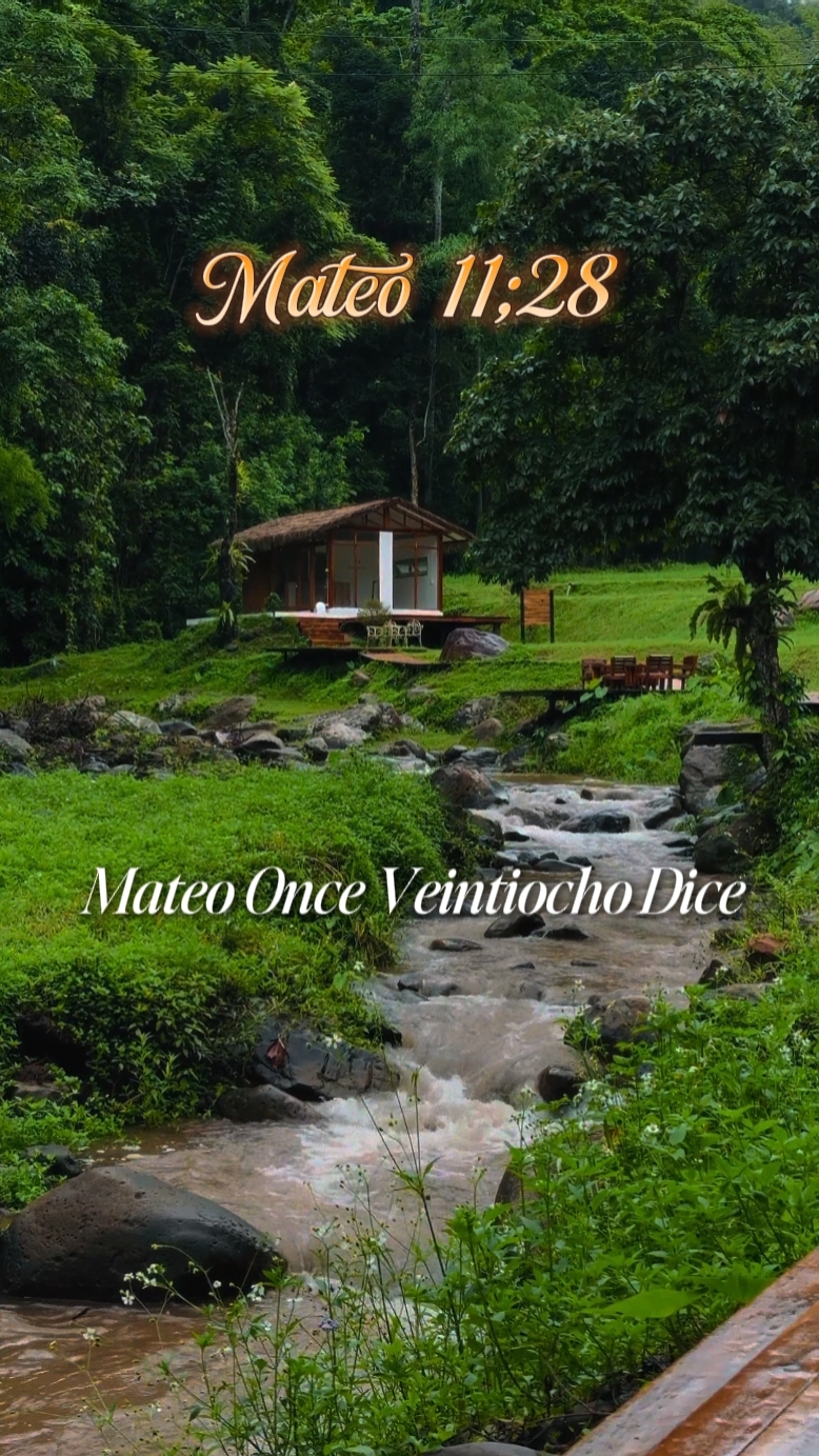 Mateo 11;28